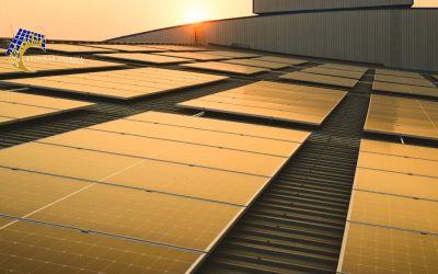 Vida útil de las placas solares: todo lo que necesitas saber